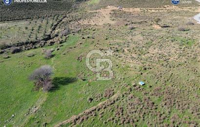 Karaburun Parlak Köyü'nde 1101 m2 Satılık Tarla