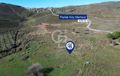 Karaburun Parlak Köyü'nde 1101 m2 Satılık Tarla
