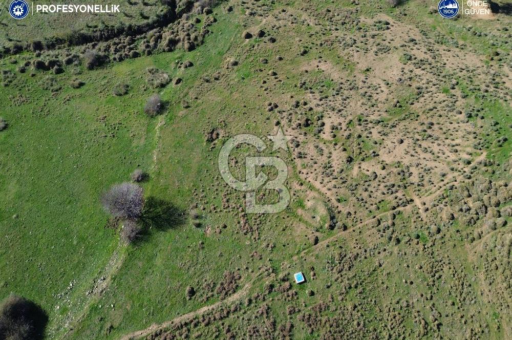 Karaburun Parlak Köyü'nde 1101 m2 Satılık Tarla