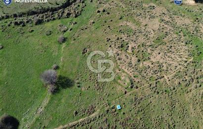 Karaburun Parlak Köyü'nde 1101 m2 Satılık Tarla