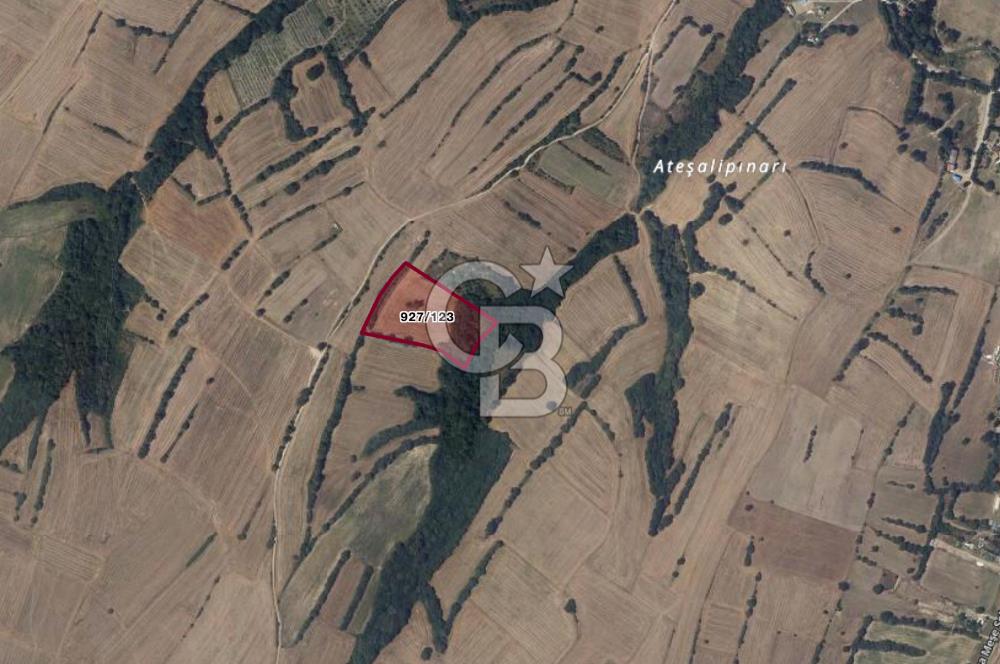 Çerkezköy Kızılpınar'da Müstakil Tapulu Satılık 14.875m2 Fırsat Arazi 