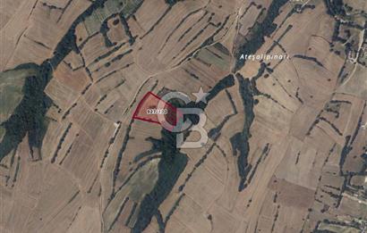 Çerkezköy Kızılpınar'da Müstakil Tapulu Satılık 14.875m2 Fırsat Arazi 