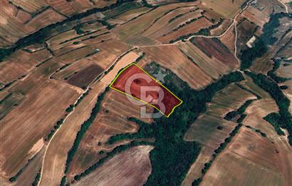 Çerkezköy Kızılpınar'da Müstakil Tapulu Satılık 14.875m2 Fırsat Arazi 