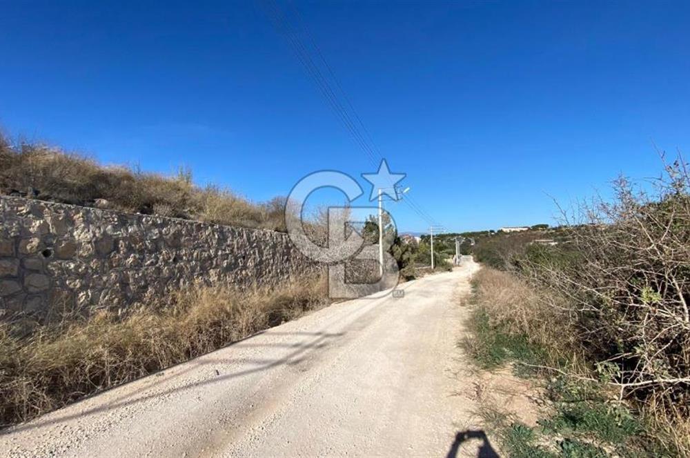 ÇEŞME MUSALLADA SATILIK YATIRIMA UYGUN TARLA