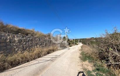 ÇEŞME MUSALLADA SATILIK YATIRIMA UYGUN TARLA