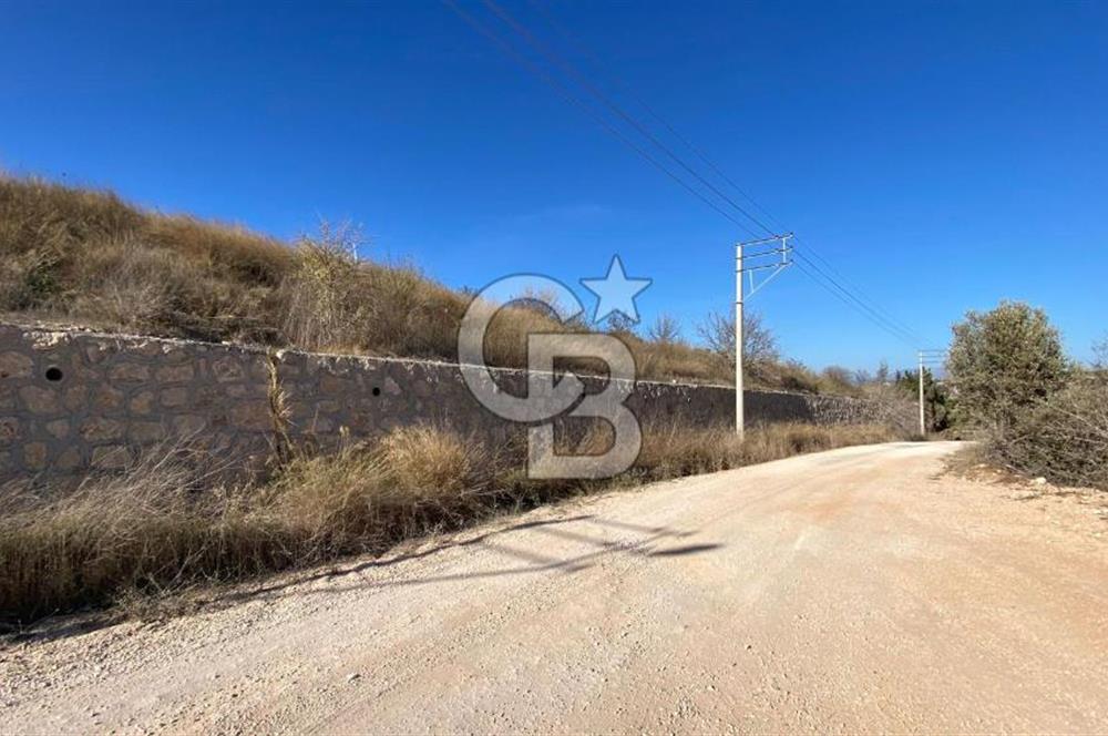 ÇEŞME MUSALLADA SATILIK YATIRIMA UYGUN TARLA