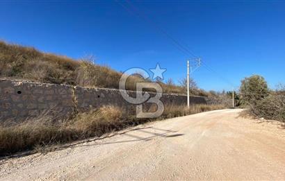 ÇEŞME MUSALLADA SATILIK YATIRIMA UYGUN TARLA