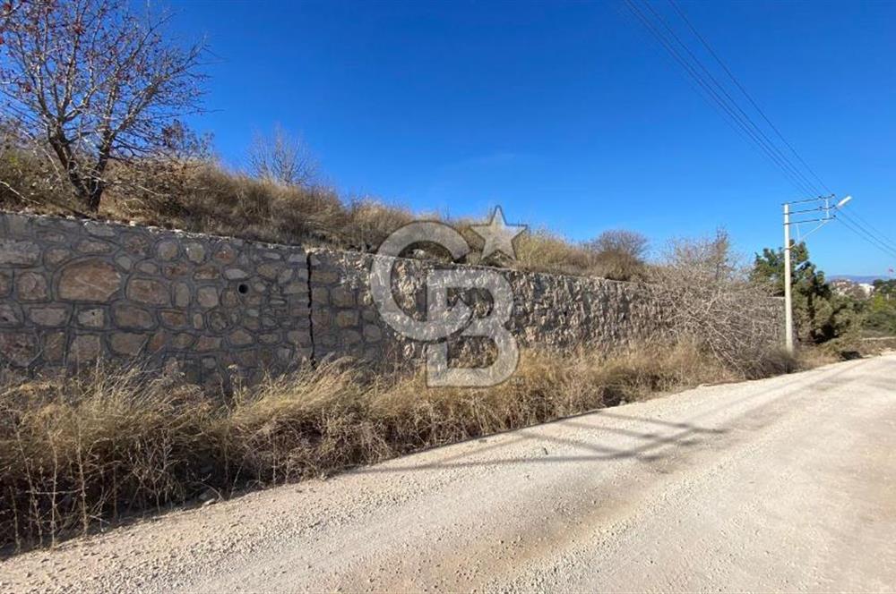 ÇEŞME MUSALLADA SATILIK YATIRIMA UYGUN TARLA