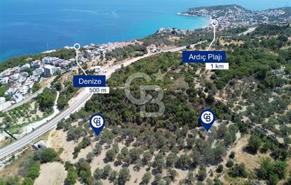 Mordoğan'da Denize 500 m Mesafede Zeytin Ağaçlı Tarla