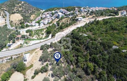 Mordoğan'da Denize 500 m Mesafede Zeytin Ağaçlı Tarla