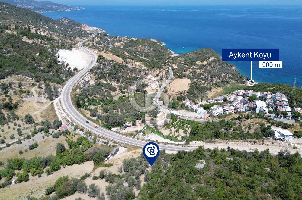 Mordoğan'da Denize 500 m Mesafede Zeytin Ağaçlı Tarla