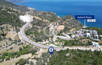 Mordoğan'da Denize 500 m Mesafede Zeytin Ağaçlı Tarla
