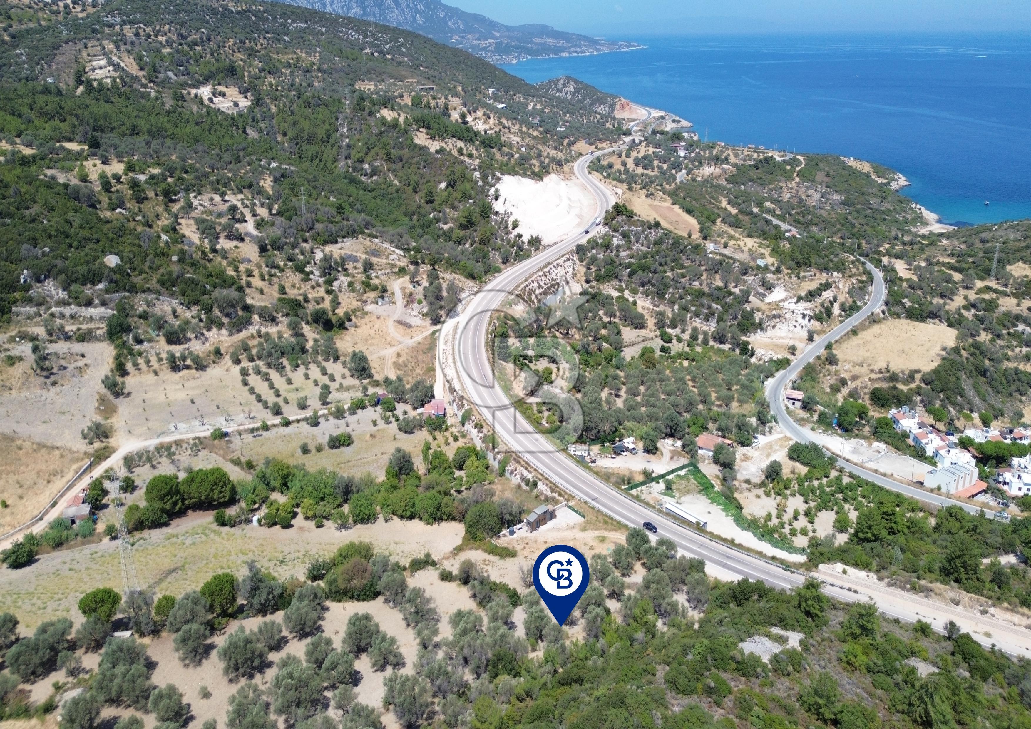 Mordoğan'da Denize 500 m Mesafede Zeytin Ağaçlı Tarla