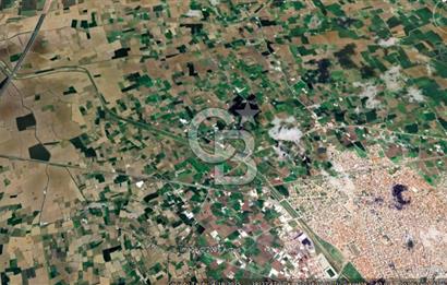 MANİSA TURGUTLU 9.CU MINTIKADA 8.370 M2 SATILIK PARSEL YOL CEPHE