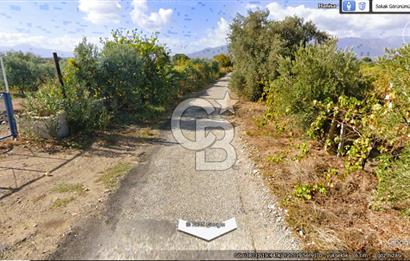 MANİSA TURGUTLU 9.CU MINTIKADA 8.370 M2 SATILIK PARSEL YOL CEPHE