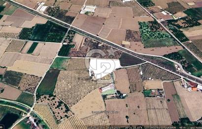 MANİSA TURGUTLU 9.CU MINTIKADA 8.370 M2 SATILIK PARSEL YOL CEPHE