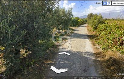 MANİSA TURGUTLU 9.CU MINTIKADA 8.370 M2 SATILIK PARSEL YOL CEPHE