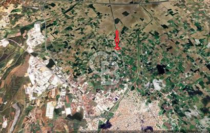 MANİSA TURGUTLU 9.CU MINTIKADA 8.370 M2 SATILIK PARSEL YOL CEPHE