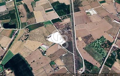 MANİSA TURGUTLU 9.CU MINTIKADA 8.370 M2 SATILIK PARSEL YOL CEPHE