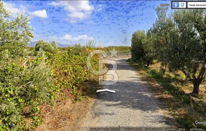 MANİSA TURGUTLU 9.CU MINTIKADA 8.370 M2 SATILIK PARSEL YOL CEPHE