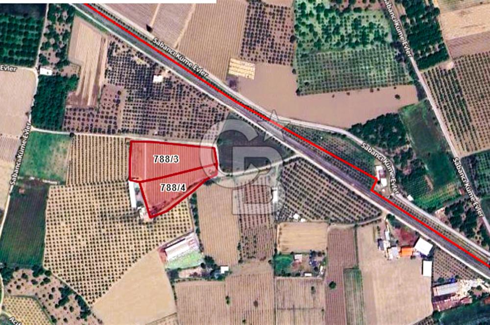 MANİSA TURGUTLU 9.CU MINTIKADA 8.370 M2 SATILIK PARSEL YOL CEPHE