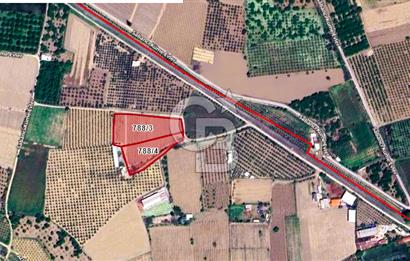 MANİSA TURGUTLU 9.CU MINTIKADA 8.370 M2 SATILIK PARSEL YOL CEPHE
