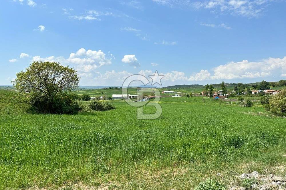 BALIKESİR KARESİ NAİPLİ ' DE SATILIK FIRSAT ARAZİ