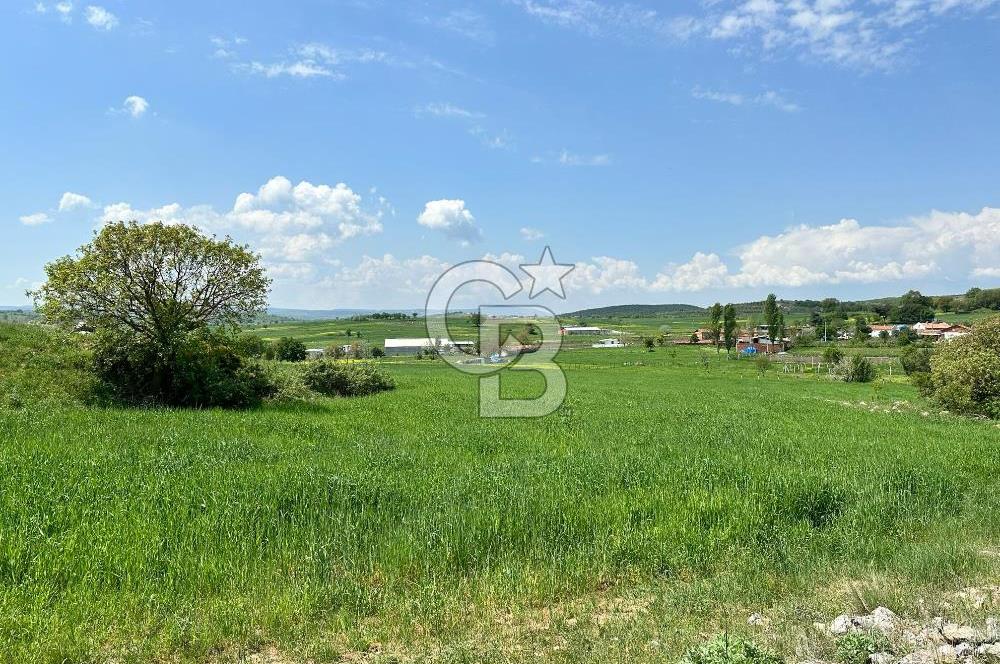BALIKESİR KARESİ NAİPLİ ' DE SATILIK FIRSAT ARAZİ