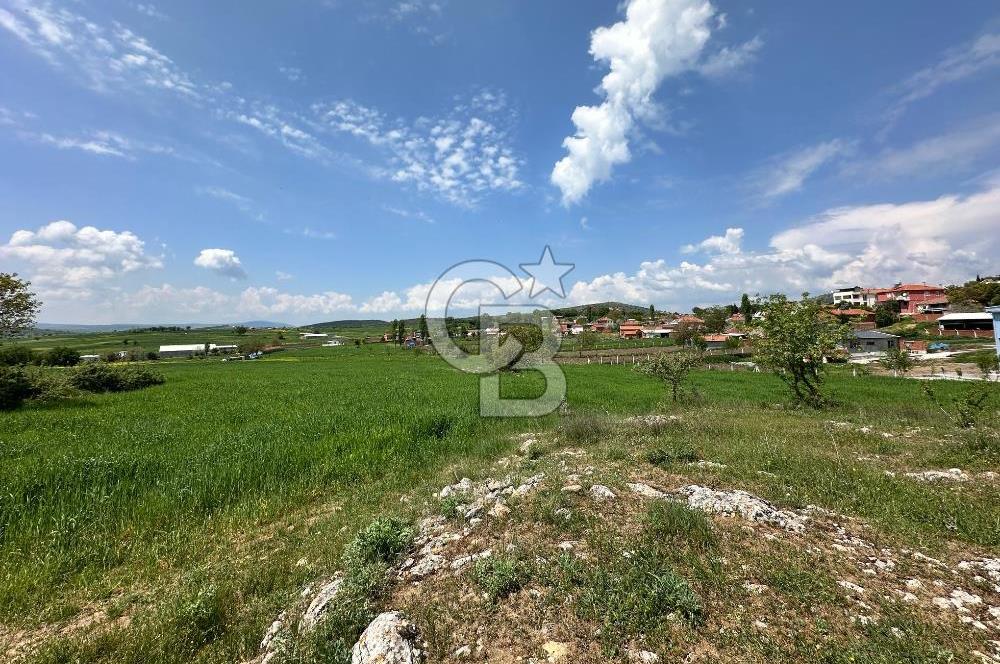 BALIKESİR KARESİ NAİPLİ ' DE SATILIK FIRSAT ARAZİ