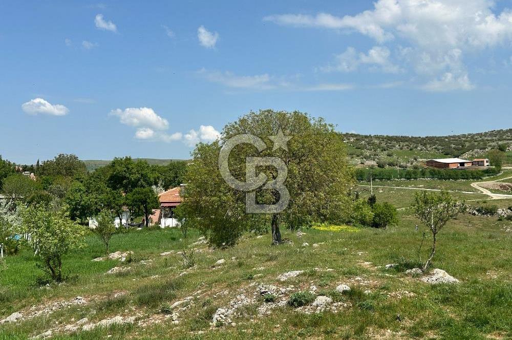 BALIKESİR KARESİ NAİPLİ ' DE SATILIK FIRSAT ARAZİ