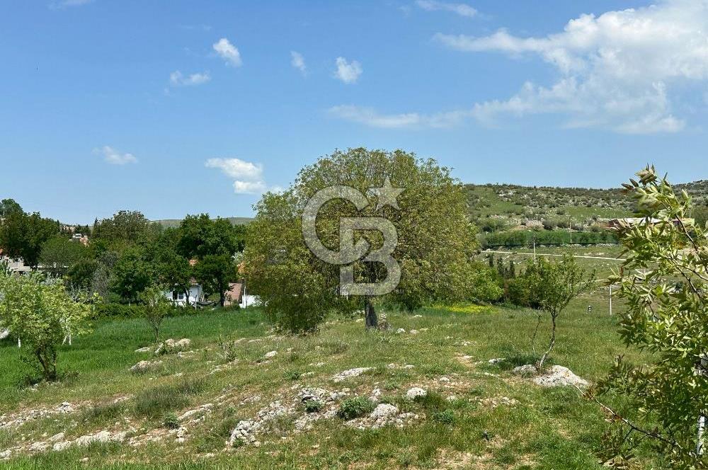 BALIKESİR KARESİ NAİPLİ ' DE SATILIK FIRSAT ARAZİ