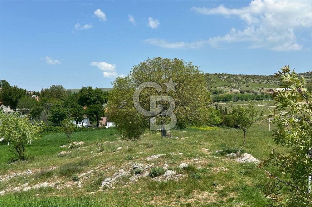 BALIKESİR KARESİ NAİPLİ ' DE SATILIK FIRSAT ARAZİ