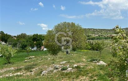 BALIKESİR KARESİ NAİPLİ ' DE SATILIK FIRSAT ARAZİ