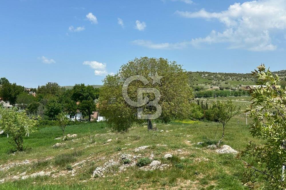 BALIKESİR KARESİ NAİPLİ ' DE SATILIK FIRSAT ARAZİ