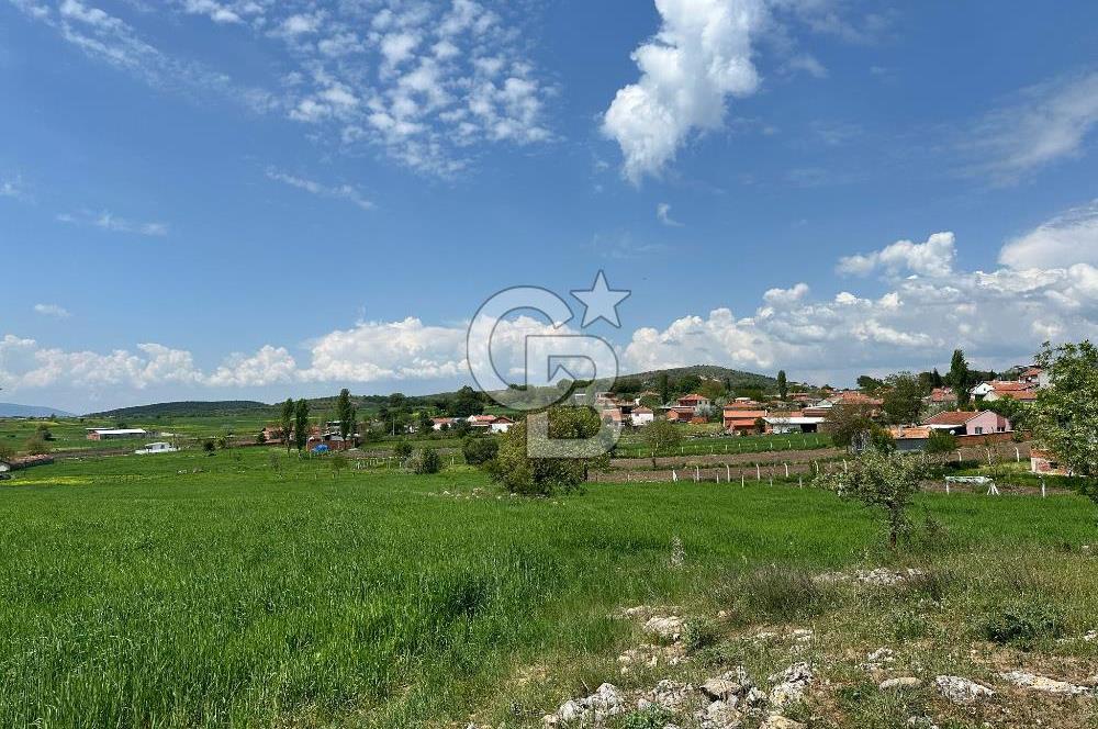 BALIKESİR KARESİ NAİPLİ ' DE SATILIK FIRSAT ARAZİ