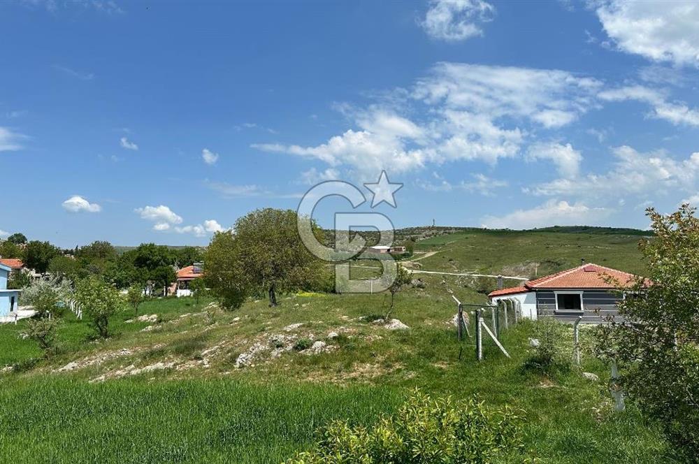 BALIKESİR KARESİ NAİPLİ ' DE SATILIK FIRSAT ARAZİ