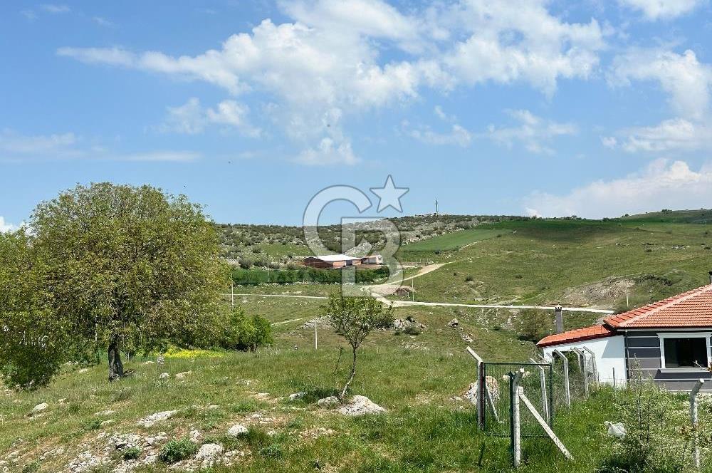 BALIKESİR KARESİ NAİPLİ ' DE SATILIK FIRSAT ARAZİ