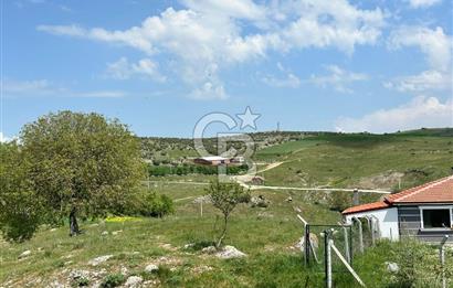BALIKESİR KARESİ NAİPLİ ' DE SATILIK FIRSAT ARAZİ