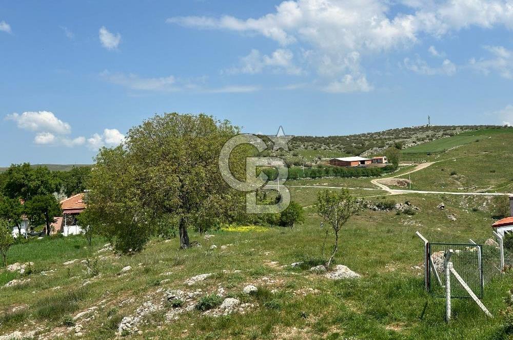 BALIKESİR KARESİ NAİPLİ ' DE SATILIK FIRSAT ARAZİ
