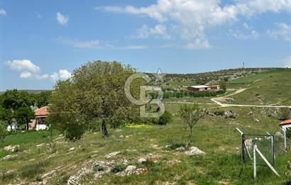 BALIKESİR KARESİ NAİPLİ ' DE SATILIK FIRSAT ARAZİ