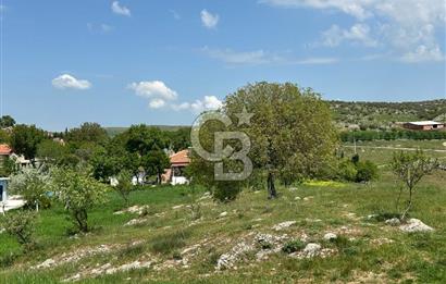 BALIKESİR KARESİ NAİPLİ ' DE SATILIK FIRSAT ARAZİ