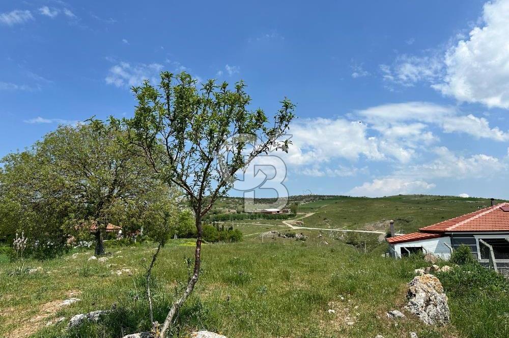 BALIKESİR KARESİ NAİPLİ ' DE SATILIK FIRSAT ARAZİ