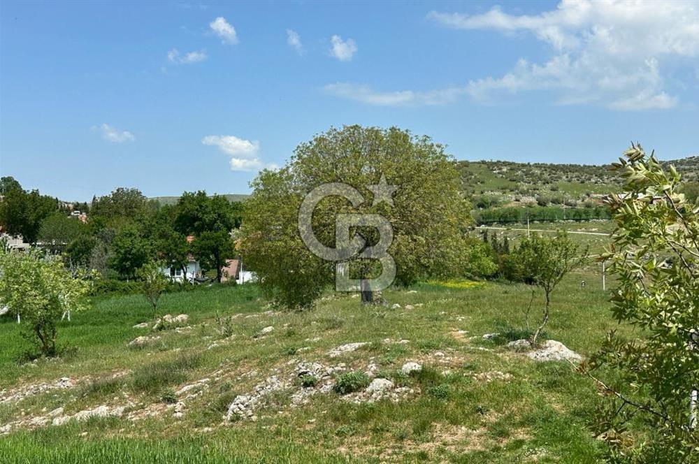 BALIKESİR KARESİ NAİPLİ ' DE SATILIK FIRSAT ARAZİ