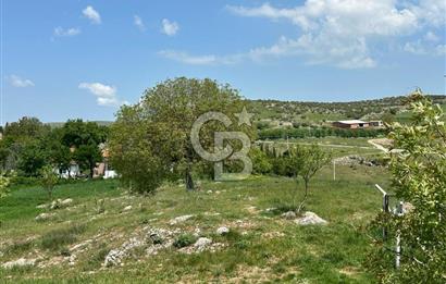 BALIKESİR KARESİ NAİPLİ ' DE SATILIK FIRSAT ARAZİ
