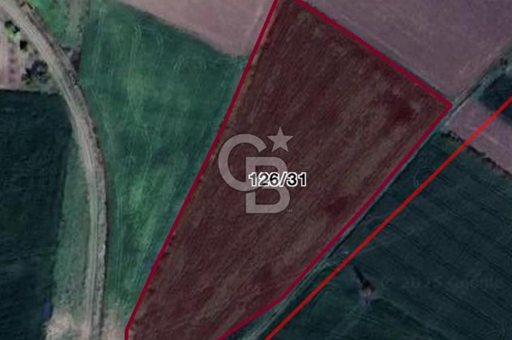 BALIKESİR ALTIEYLÜL BÜYÜKBOSTANCI'DA SATILIK TARLA