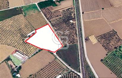 MANİSA TURGUTLU 9.CU MINTIKADA 8.370 M2 SATILIK PARSEL YOL CEPHE