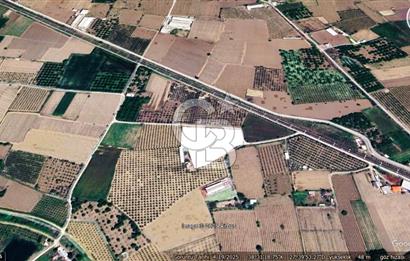 MANİSA TURGUTLU 9.CU MINTIKADA 8.370 M2 SATILIK PARSEL YOL CEPHE