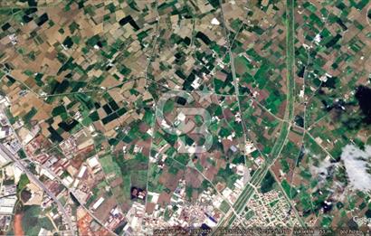 MANİSA TURGUTLU 9.CU MINTIKADA 8.370 M2 SATILIK PARSEL YOL CEPHE