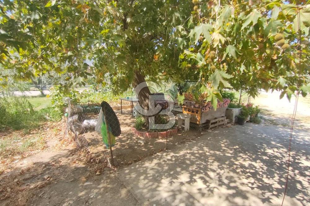 CB KİNG’DEN EDREMİT/GÜRE CUMHURİYET MAHALLESİ DENİZE 100 mt. SATILIK TRİPLEKS