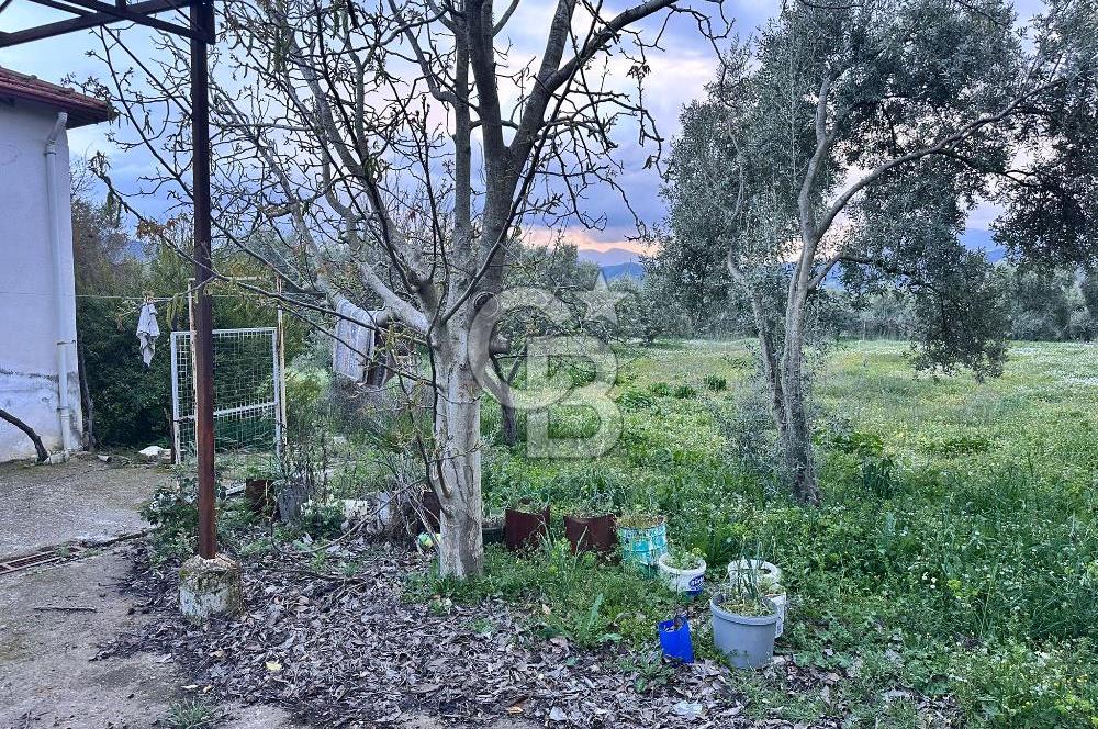 Muğla Yatağan Bozarmut Mahallesinde Satılık Kagir Ev ve Tarla